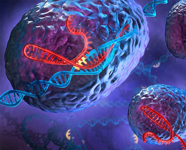 Learning to Master OpenCV 3 in Python