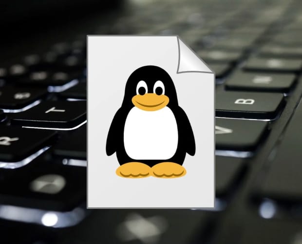 102-500: LPI Level 1