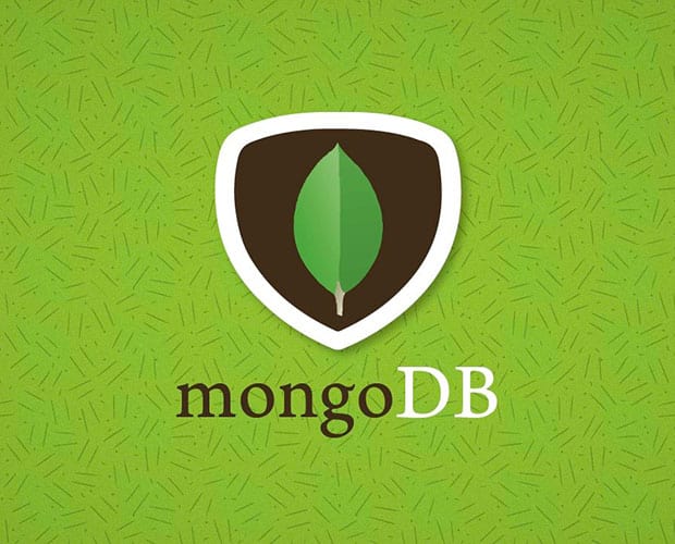 MongoDB Guide: Learn and Understand
