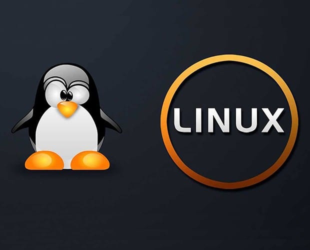 010-150: Entry Level Linux Essentials Certificate of Achievement
